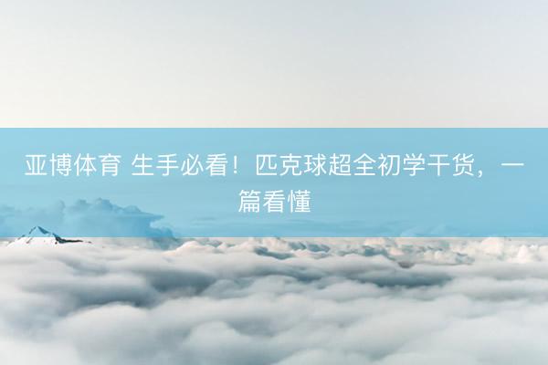 亚博体育 生手必看！匹克球超全初学干货，一篇看懂