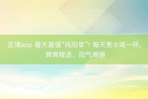 亚博app 春天最强“纯阳草”! 每天煮水喝一杯, 脾胃暖透、阳气爆棚